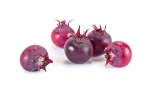 Ирга замороженная польза. 