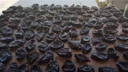 Как сушить чернослив разными способами в домашних.. Чернослив вяленый. Как сушить сливу в домашних условиях
