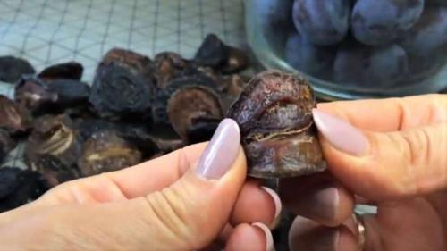 Как сушить чернослив разными способами в домашних.. Чернослив вяленый. Как сушить сливу в домашних условиях