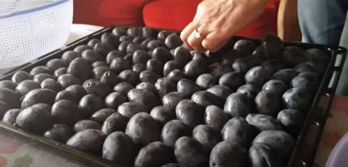 Как сушить чернослив разными способами в домашних.. Чернослив вяленый. Как сушить сливу в домашних условиях