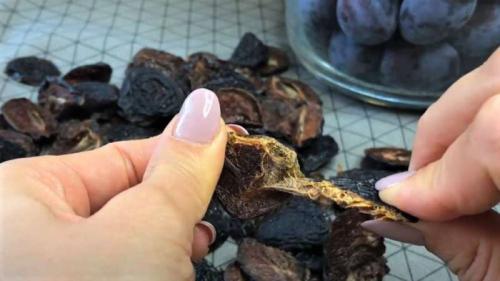 Как сушить чернослив разными способами в домашних.. Чернослив вяленый. Как сушить сливу в домашних условиях