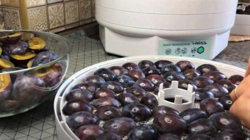 Как сушить чернослив разными способами в домашних.. Чернослив вяленый. Как сушить сливу в домашних условиях