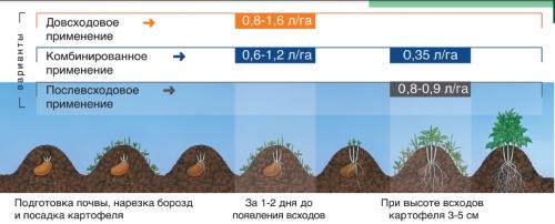 Гербицид Для картофеля зенкор. Зенкор