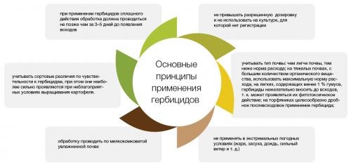 Как защитить картофель от сорняков. Защита от сорняков