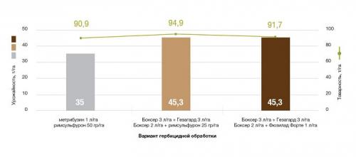 Как защитить картофель от сорняков. Защита от сорняков