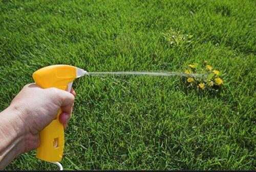 Гербицид сплошного действия своими руками. Как выбрать хорошее средство от сорняков