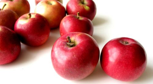 Зимние сорта яблок хранящиеся до весны. Всё про зимние сорта яблок 11