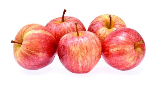 Зимние сорта яблок хранящиеся до весны. Всё про зимние сорта яблок 13