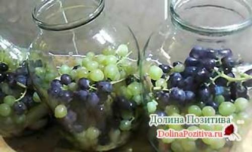 Компот из винограда и яблок на зиму. Компот из яблок и винограда: 3 рецепта на зиму