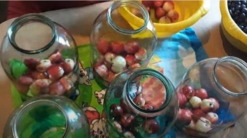 Компот из зеленого винограда и яблок на зиму. Компот из винограда и яблок на зиму — простые рецепты на 3 литровую банку