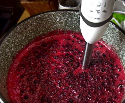 Кисло-сладкий соус из винограда. 5 лучших рецептов соуса из винограда на зиму