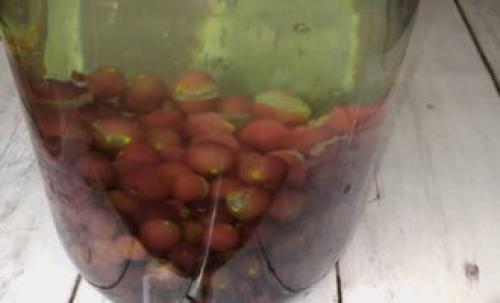 Виноград на зиму без стерилизации. Компот из винограда без стерилизации в 3-х литровой банке на зиму — 8 рецептов в домашних условиях