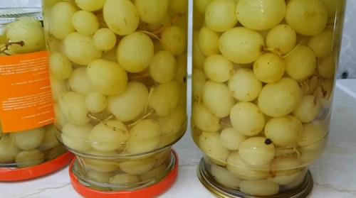 Виноград на зиму консервация. Виноград, консервированный на зиму без стерилизации