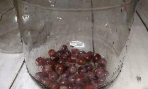 Виноград на зиму без стерилизации. Компот из винограда без стерилизации в 3-х литровой банке на зиму — 8 рецептов в домашних условиях