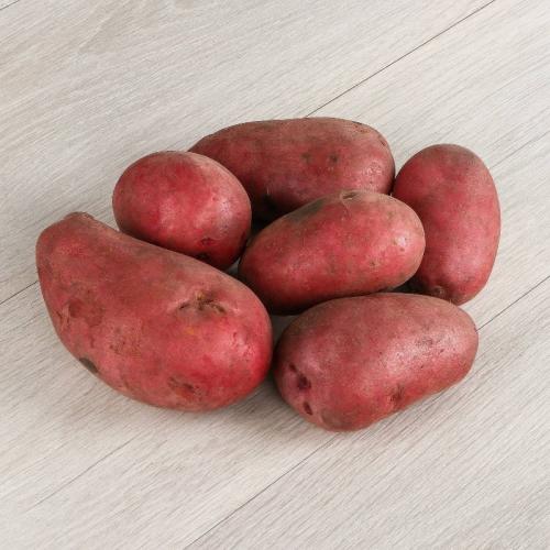 Новые сорта картошки. Новые сорта картофеля, выведенные в 2020 году: что в них особенного