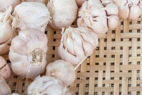 Лучшие сорта ярового чеснока в украине. 20 лучших сортов ярового чеснока: характеристики, свойства, методы