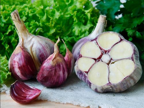 25 лучших сортов и разновидностей чеснока. Сорта чеснока — 45 сортов 2023 года