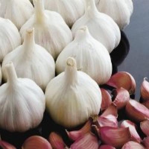 25 лучших сортов и разновидностей чеснока. Сорта чеснока — 45 сортов 2023 года 07