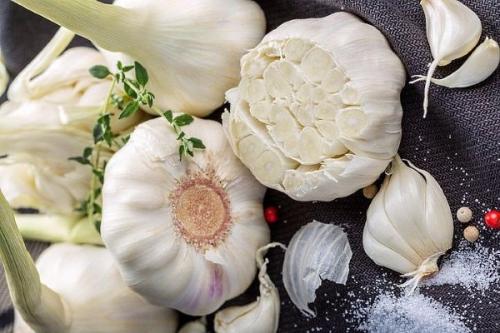 Лучшие сорта ярового чеснока в украине. 20 лучших сортов ярового чеснока: характеристики, свойства, методы