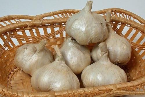Лучшие сорта ярового чеснока в украине. 20 лучших сортов ярового чеснока: характеристики, свойства, методы