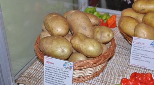 Самые урожайные сорта картофеля. Добавление статьи в новую подборку 03