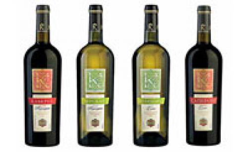 Полезные свойства и вред винограда Изабелла для организма. Польза и вред ягод 04