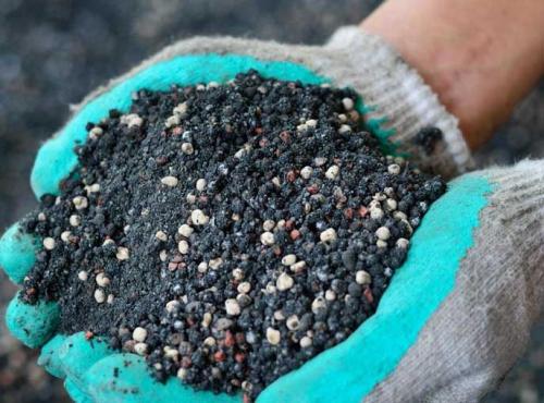 Персик кондор описание сорта. Персик кондор: описание и характеристика сорта, особенности ухода и выращивания, фото 08 Персик кондор описание сорта. Персик кондор: описание и характеристика сорта, особенности ухода и выращивания, фото 08