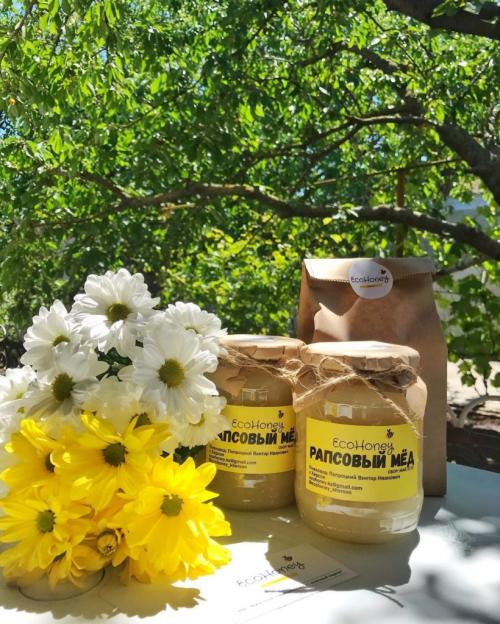 Рапсовый мед хранение. Состав и полезные характеристики
