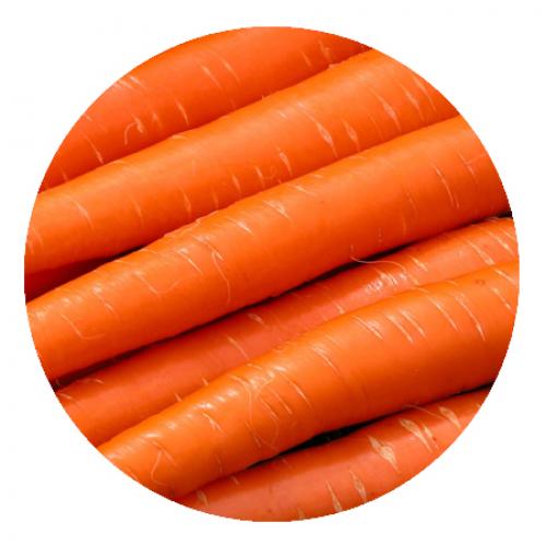 Чем полезен рапсовый мед. Пять полезных для женщины продуктов 02 Чем полезен рапсовый мед. Пять полезных для женщины продуктов 02