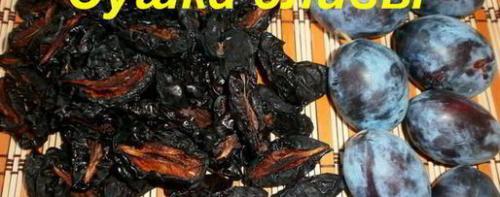 Сушёные сливы в домашних условиях. Вяленые сливы на зиму в домашних условиях, как приготовить 20