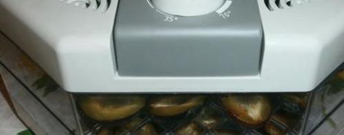 Сушёные сливы в домашних условиях. Вяленые сливы на зиму в домашних условиях, как приготовить 16