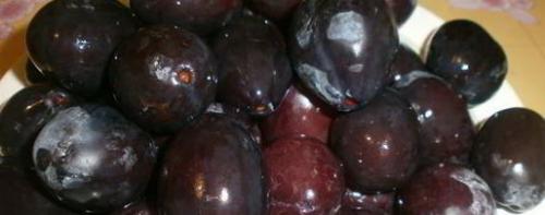 Сушёные сливы в домашних условиях. Вяленые сливы на зиму в домашних условиях, как приготовить 12