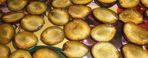 Сушёные сливы в домашних условиях. Вяленые сливы на зиму в домашних условиях, как приготовить 13