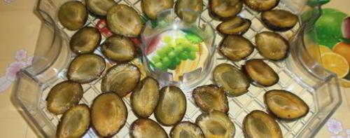 Сушёные сливы в домашних условиях. Вяленые сливы на зиму в домашних условиях, как приготовить 14