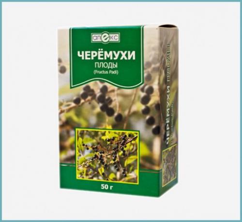 Красная черемуха: польза и вред. Свойства черемухи – польза и вред для организма