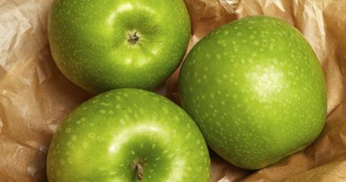 Зимние сорта яблок. Всё про зимние сорта яблок