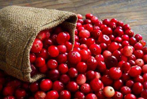 Брусника и клюква. Отличия в составе и пользе ягод клюквы и брусники