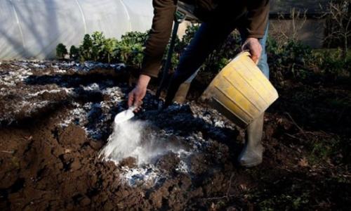 Как раскислить почву. Как снизить кислотность почвы на огороде