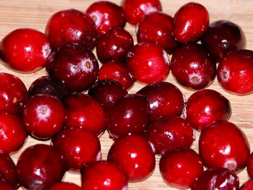Посадка клюквы осенью. Как посадить клюкву у себя в саду