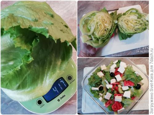 Какие сорта салата айсберг лучше выращивать из семян. Салат Айсберг. Мой первый удачный опыт и первый восторг