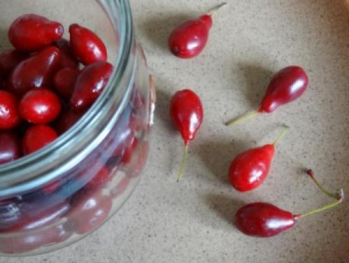 Есть ли противопоказания к употреблению плодов кизила. Целебный и вкусный кизил: полезные свойства и противопоказания ягоды