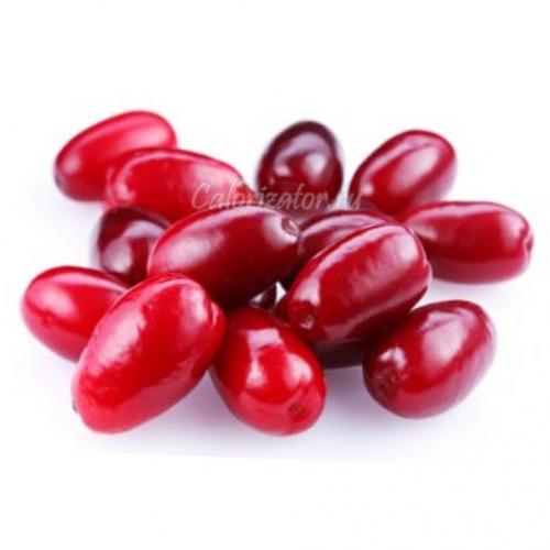 Какие вещества содержатся в плодах кизила. Кизил