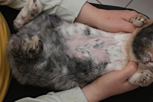 Продолжительность и определение сукрольности: все, что нужно знать 02