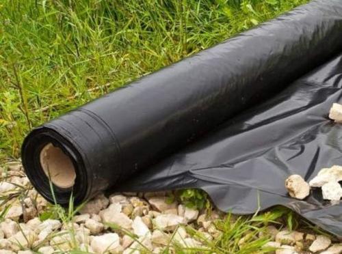 Посадка клубники весной под пленку. Как выбрать пленку