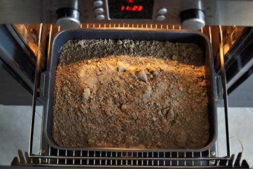 Посадка клубники семенами в открытый грунт. Как получить семена клубники