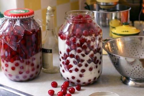 Что делать с вишней после наливки. Вишневая наливка — рецепт на водке