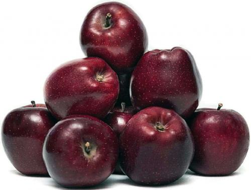 Зимние сорта яблок, хранящиеся до весны. Сорта зимних яблок