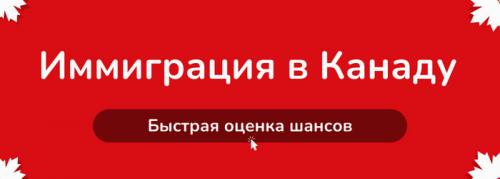 Путь клюквы от роста до продажи: процесс сбора в Канаде 14 Путь клюквы от роста до продажи: процесс сбора в Канаде 14