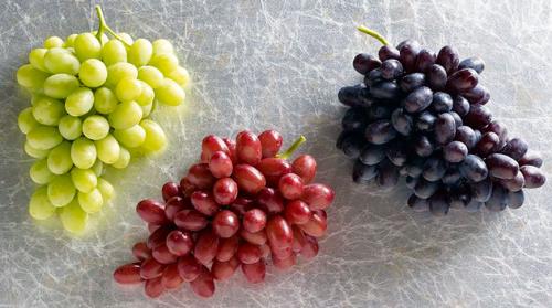 Может ли от винограда болеть желудок и что делать. Когда виноград можно употреблять в пищу 06