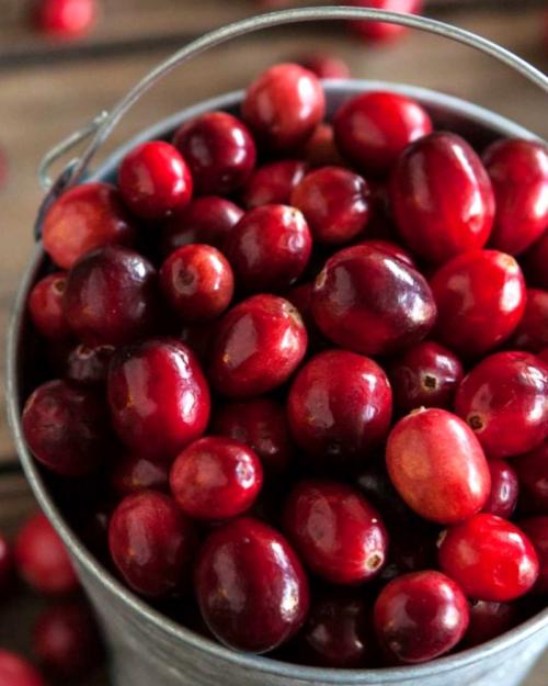 Какие факторы влияют на качество клюквы в 2024 году. Как выбрать клюкву и сохранить ягоды свежими